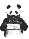 Cute Panda Poster