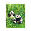 panda painting images